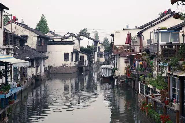 园丁逃生